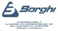 Logo Borghi